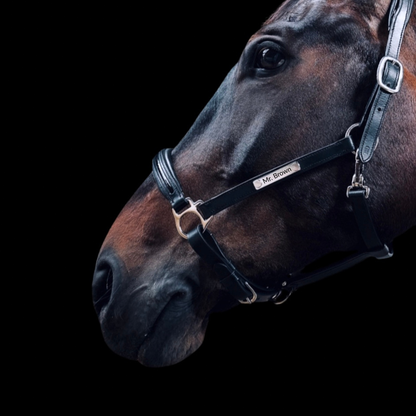 Lederhalfter Florennes Lack mit individueller Gravur