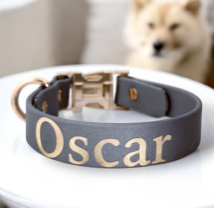 Individuelles Biothane Halsband mit Namen