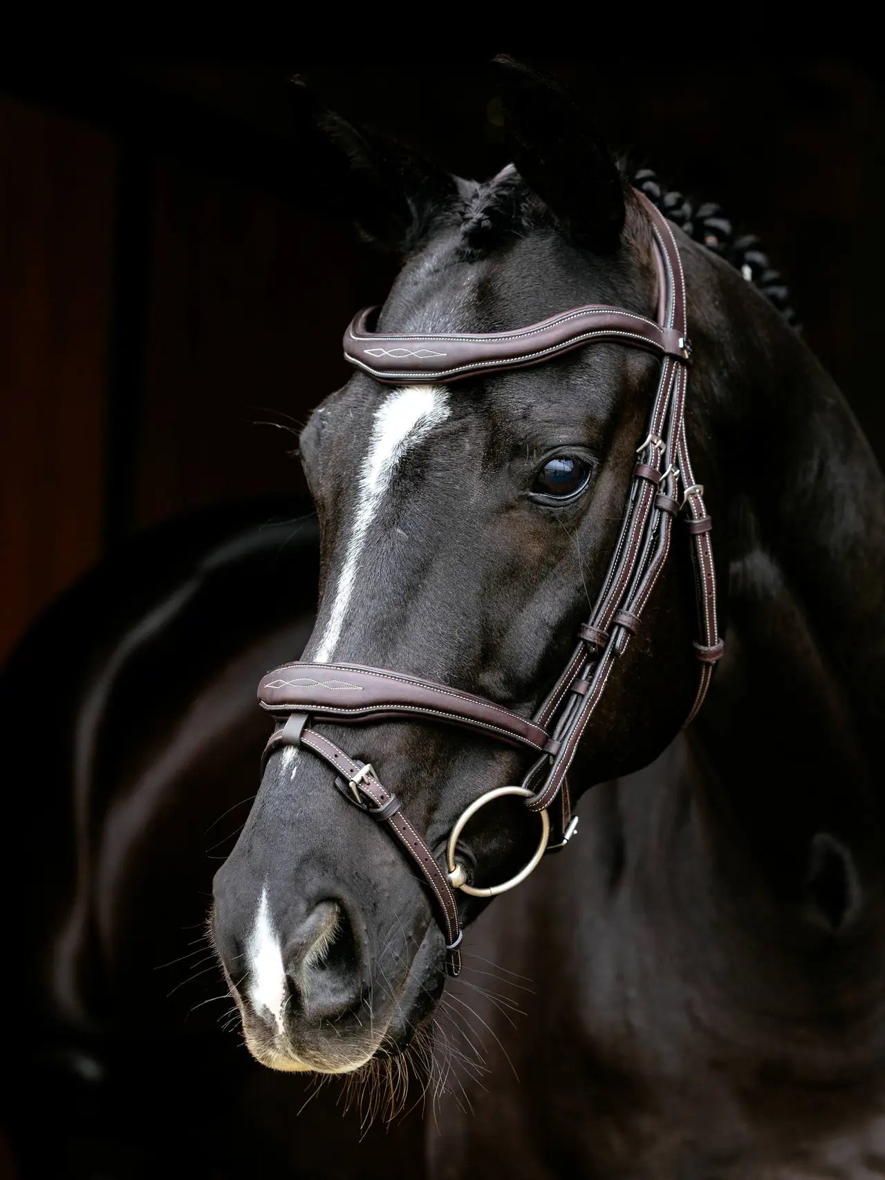 Kudos Contour Trense