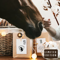 Adventskalender Uniquehorse 𓃗