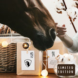 Adventskalender Uniquehorse 𓃗