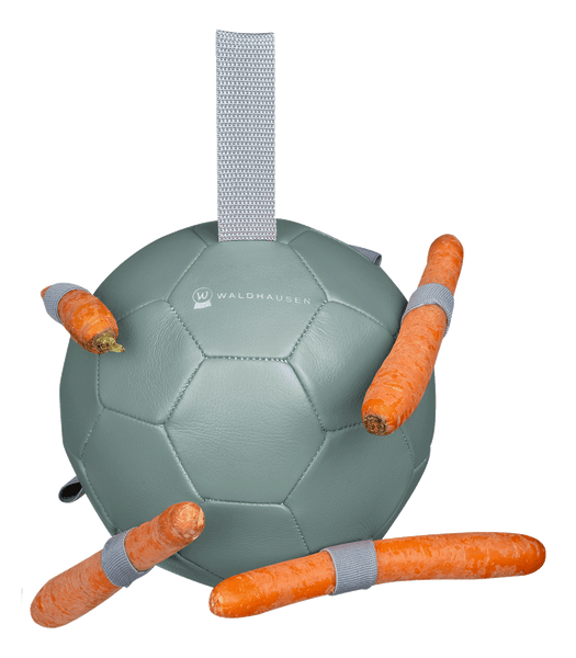 Karottenball