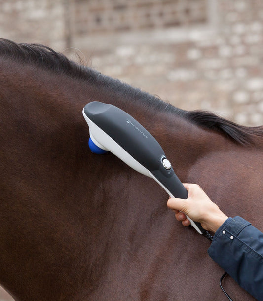 Super Dandy Go Relax