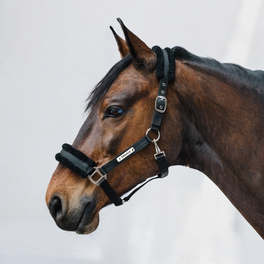 Fellhalfter Unique mit individueller Gravur