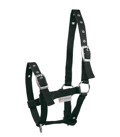 Fohlenhalfter Triple