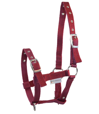 Fohlenhalfter Triple