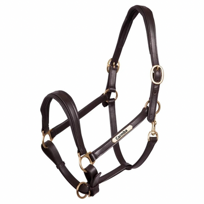 Premiere Lederhalfter mit individueller Gravur