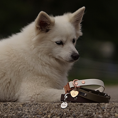 Individuelles Biothane Halsband Chic mit Gravur