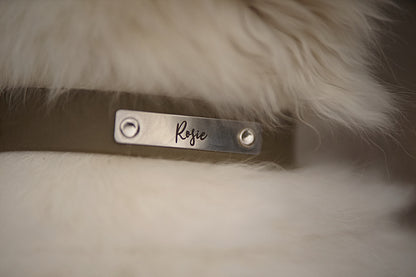 Individuelles Biothane Halsband Chic mit Gravur
