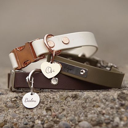 Individuelles Biothane Halsband Chic mit Gravur