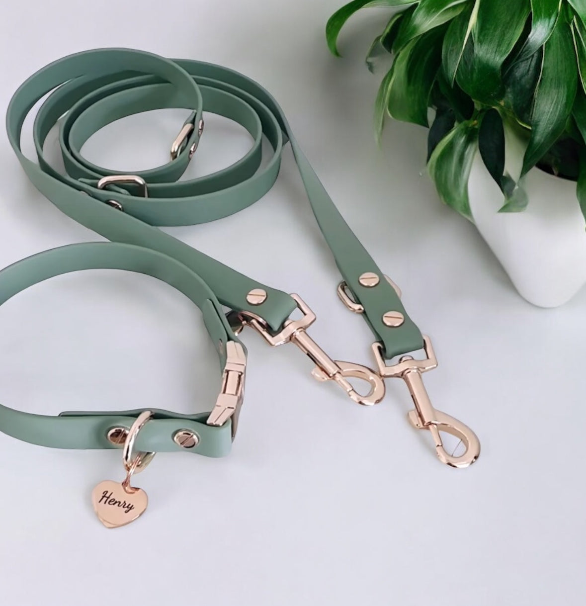 Individuelles Biothane Halsband-Leinenset Chic mit Gravur