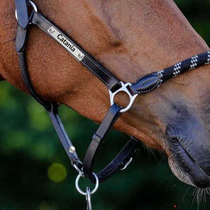 Namensplättchen individuell graviert