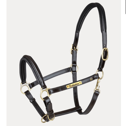 Lederhalfter S-Line Classy mit individueller Gravur