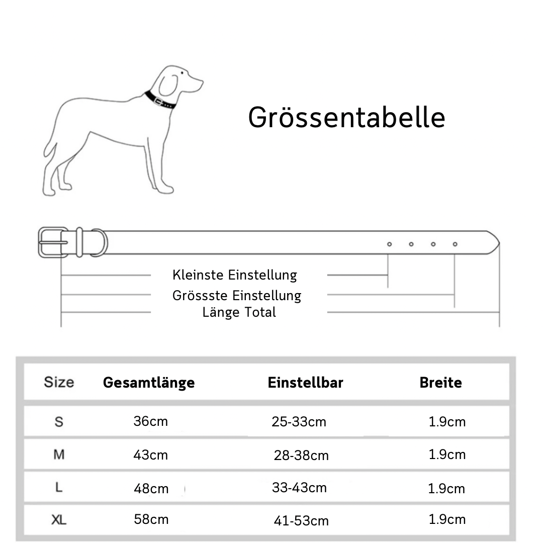 Individuelles Biothane Halsband Daily mit Gravur