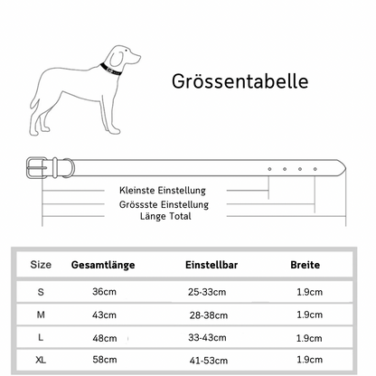 Individuelles Biothane Halsband Daily mit Gravur