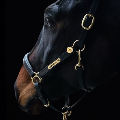 Premiere Lederhalfter mit individueller Gravur