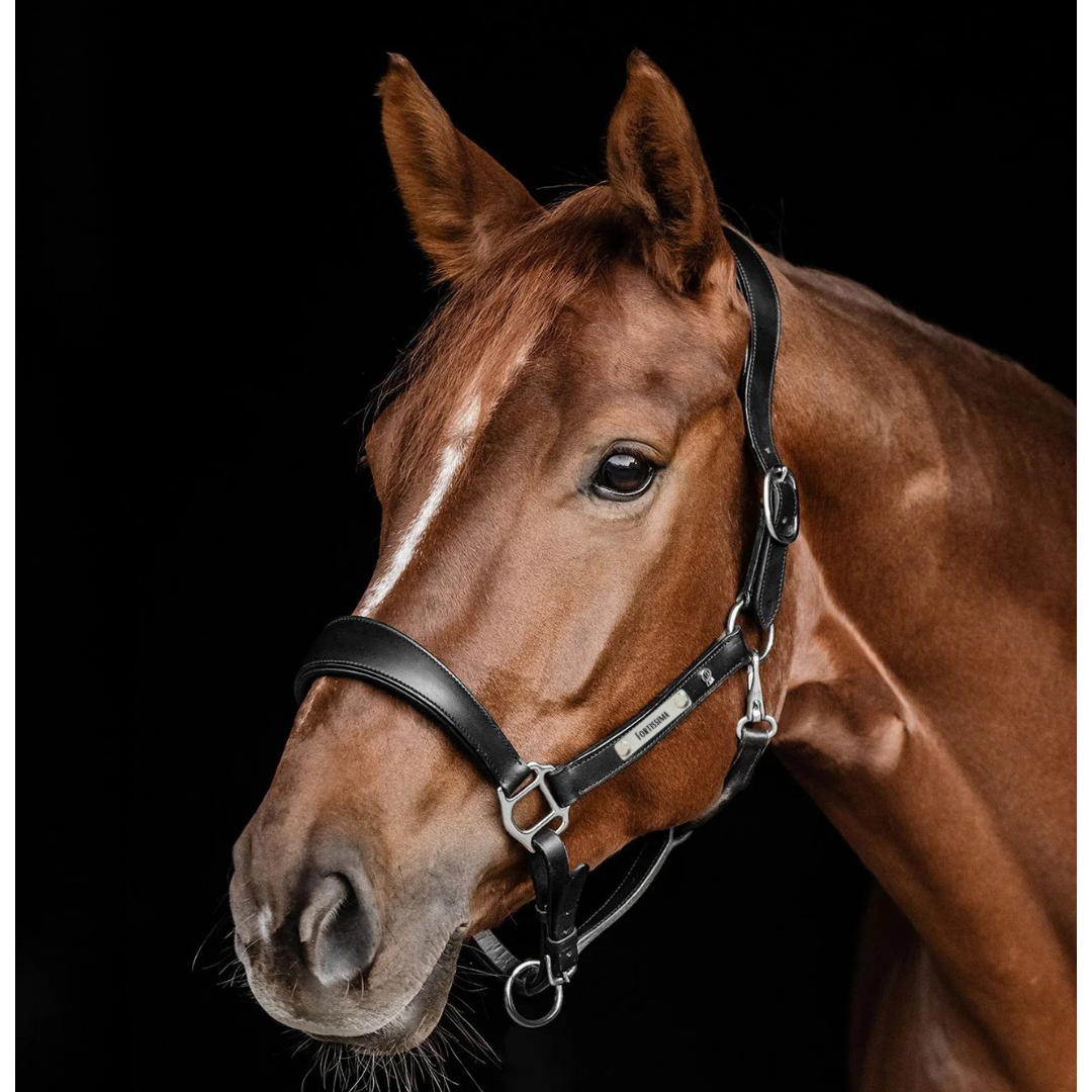 Lederhalfter Anatomic S-Line mit individueller Gravur Braun