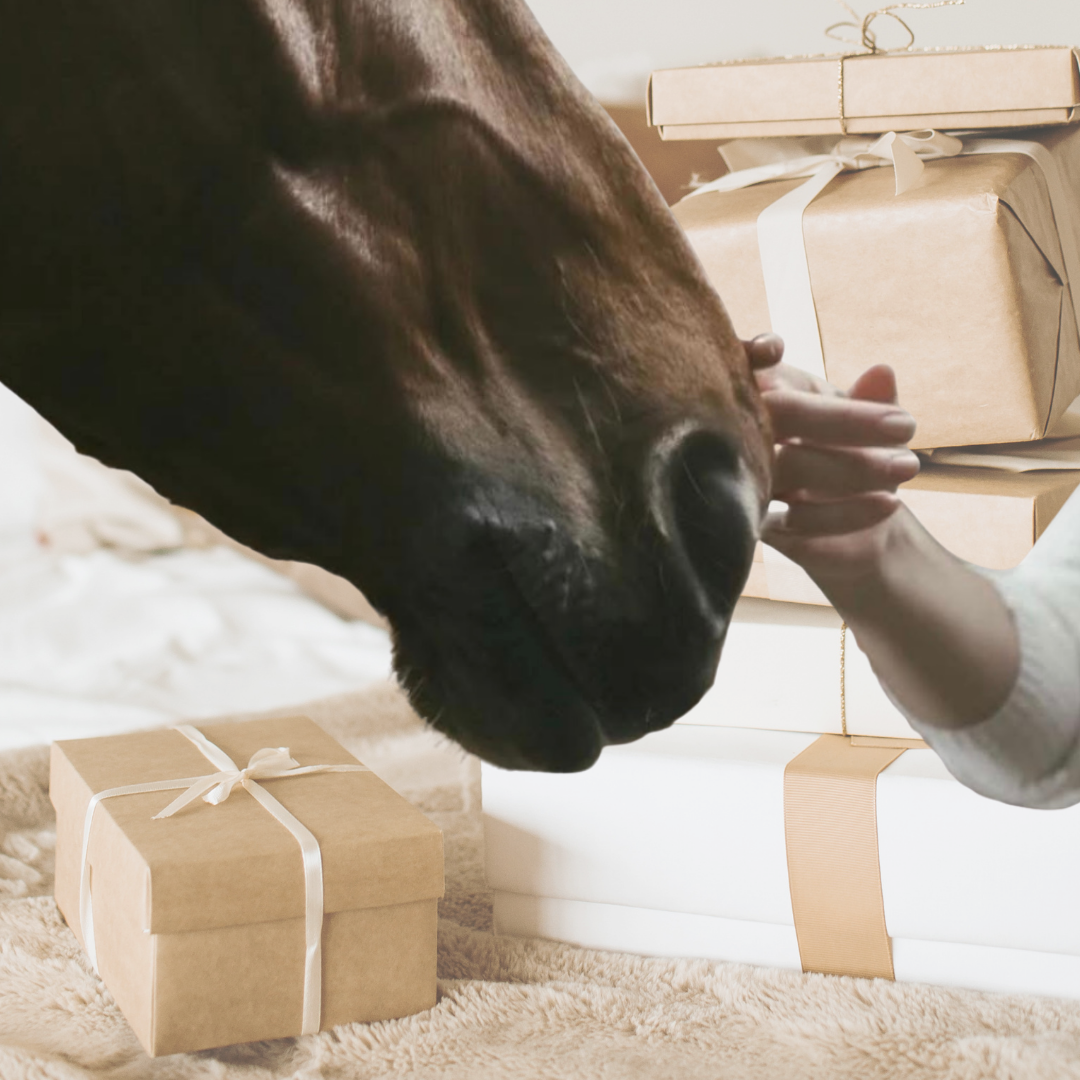 Uniquehorse Surprise Abo 🖤