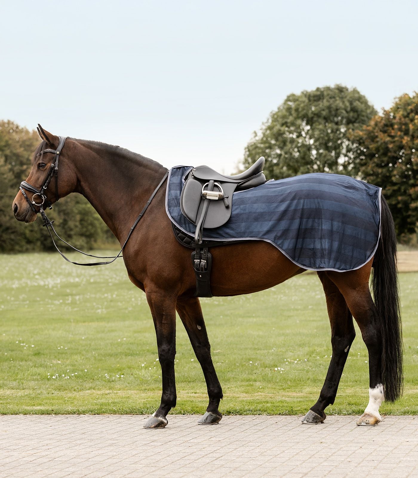 Ausreit - Fliegendecke Economic