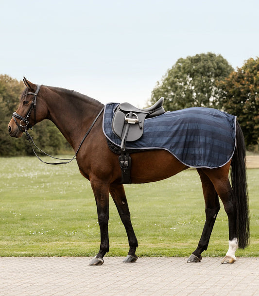 Ausreit - Fliegendecke Economic