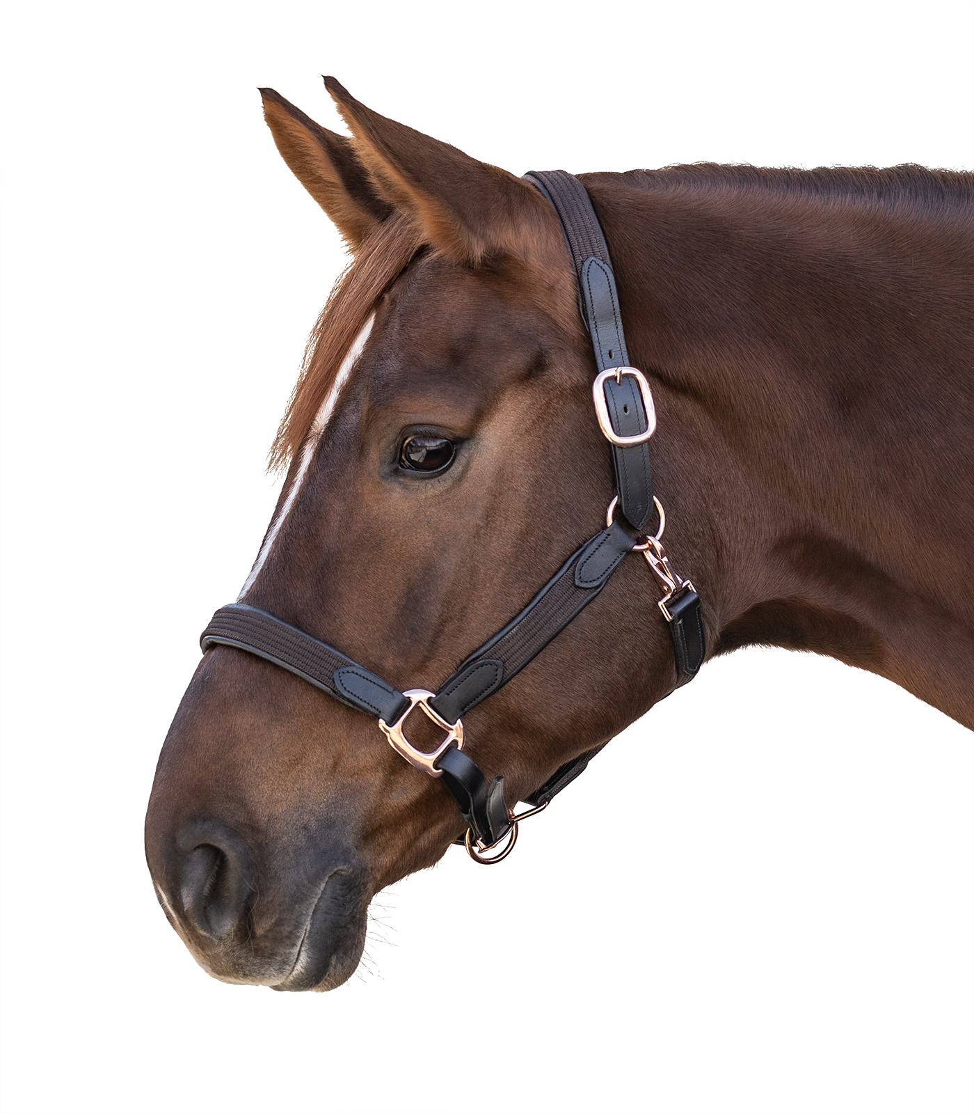 Halfter Star Mix Rosegold