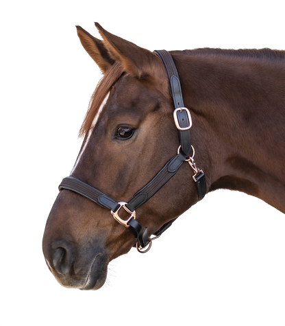 Halfter Star Mix Rosegold