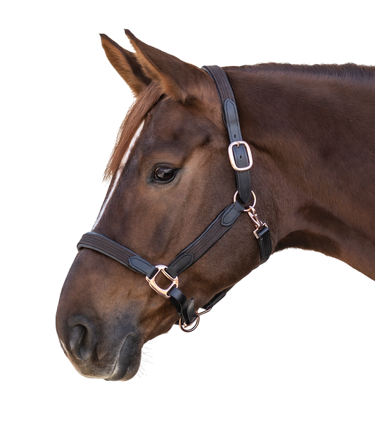 Halfter Star Mix Rosegold