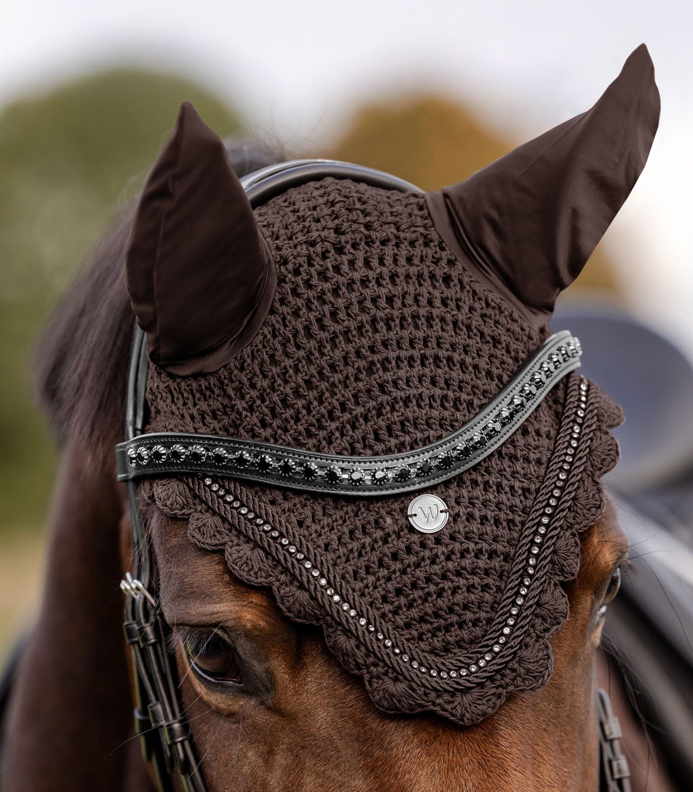 Fliegenohren Nepal Brown