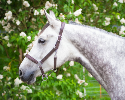 Halter Mela anatomically – mit individueller Gravur