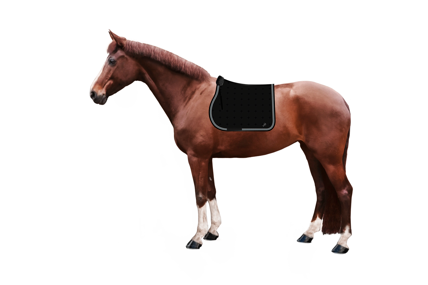 Syntec Cube Schabracke