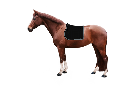 Syntec Cube Schabracke