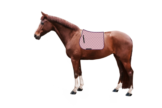 Schabracke Cotton Diamant