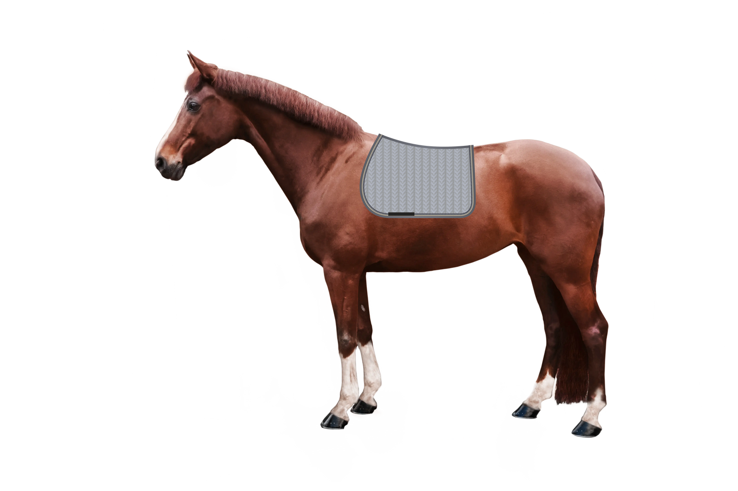 Schabracke Macro Arrow