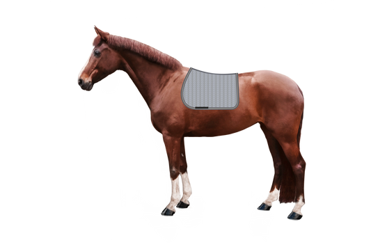 Schabracke Macro Arrow