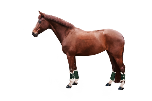 Soft Gamaschen 4er Set