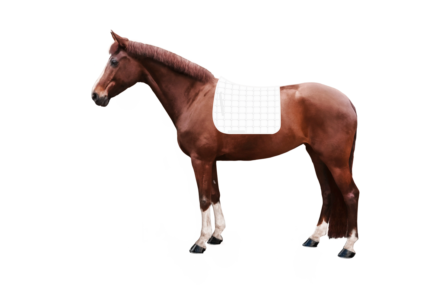 Syntec Cube Schabracke