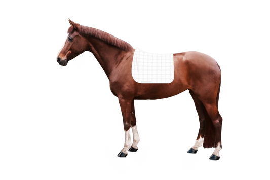 Syntec Cube Schabracke