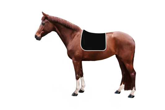 Syntec Cube Schabracke