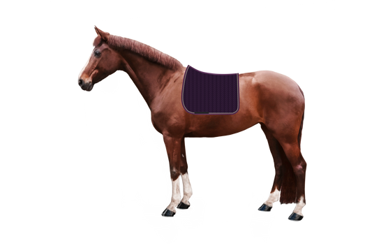 Schabracke Macro Arrow