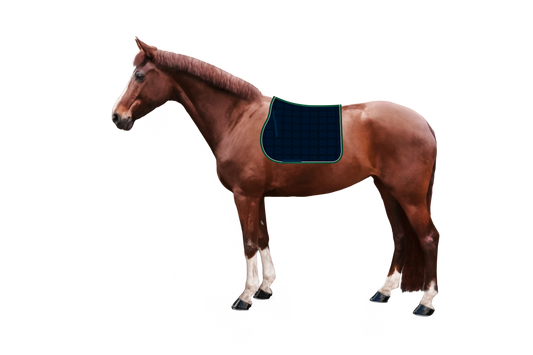 Syntec Cube Schabracke