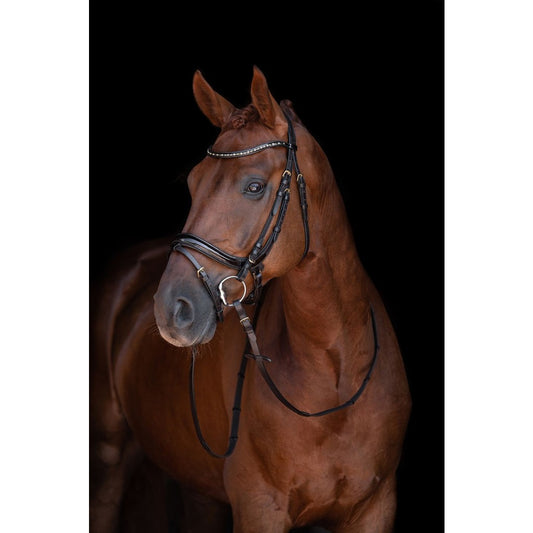 Anatomischer Lackzaum Leana