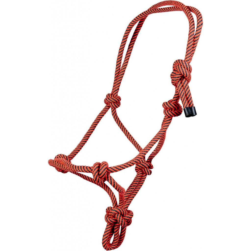 Knotenhalfter Equestrian Neon