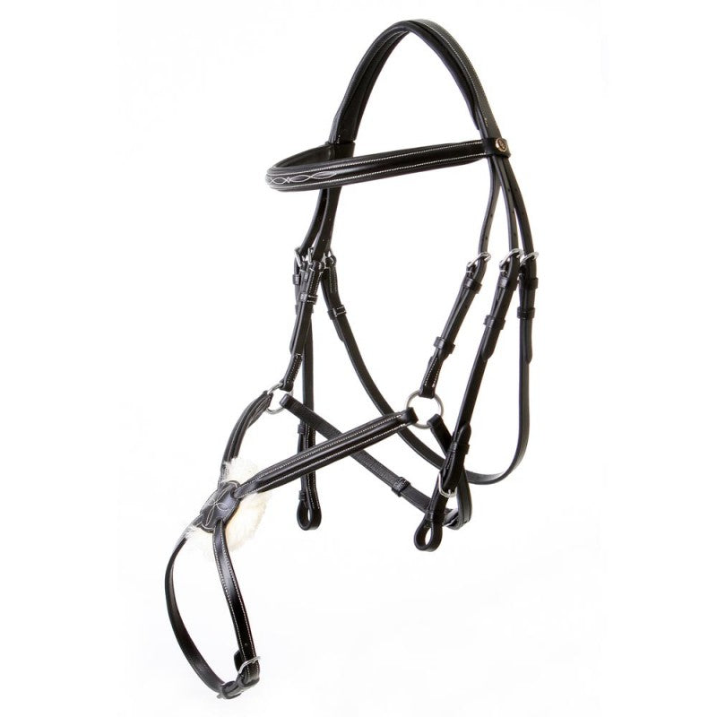 Mexikanischer Zaum Fareham