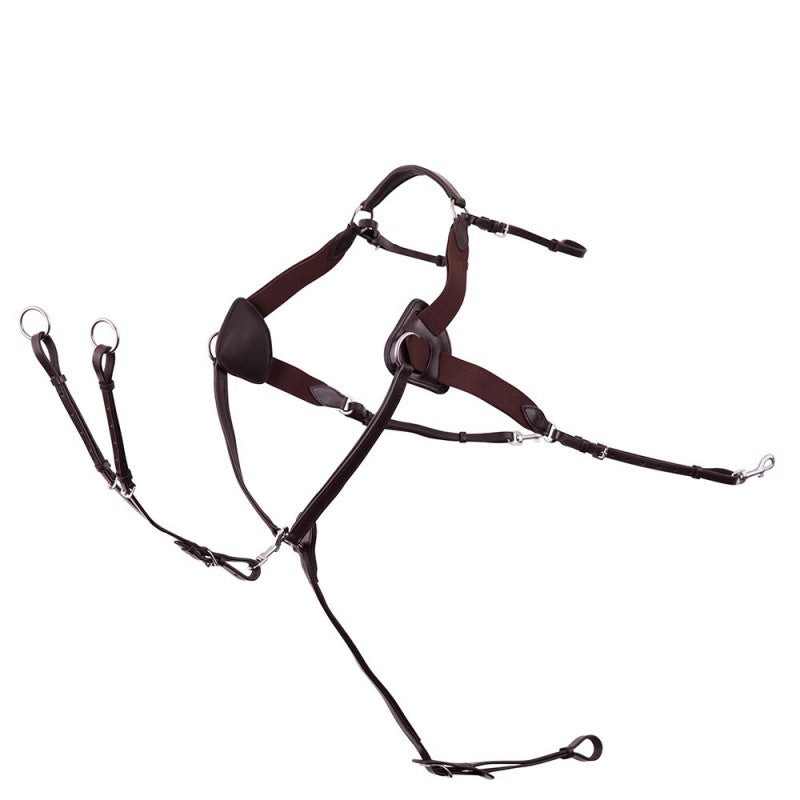 Premiere 5Punkt Vorderzeug