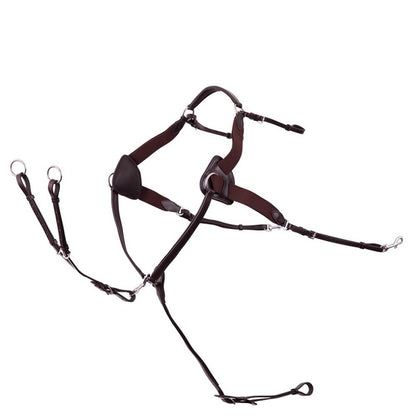 Premiere 5Punkt Vorderzeug