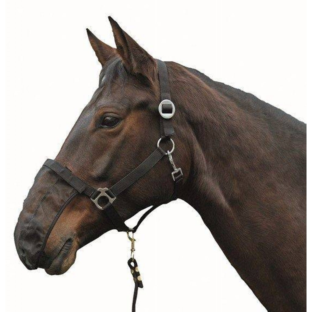 Nüsternnetz 3er Set