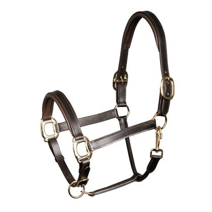 Lederhalfter Gepolstert