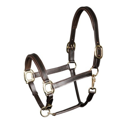 Lederhalfter Gepolstert