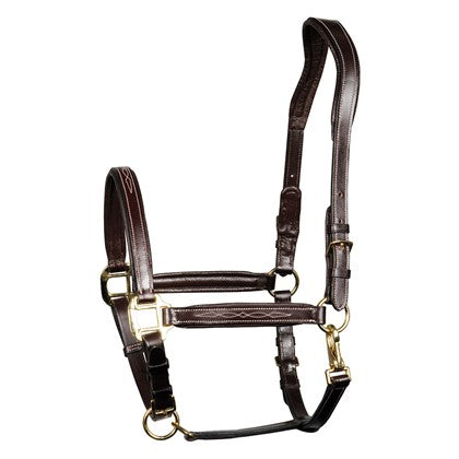 Lederhalfter Supreme - Reitsportwelt