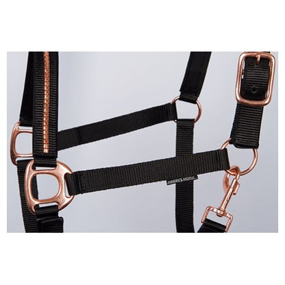Halfterset Clincher Roségold Next - Reitsportwelt